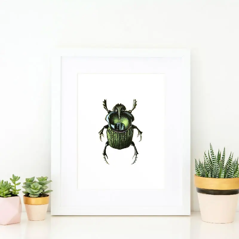Green Beetle Print Canvas Painting Picture Insects Taxidermy Illustration Poster And Kids Room Home Wall Art Graffiti Decoration