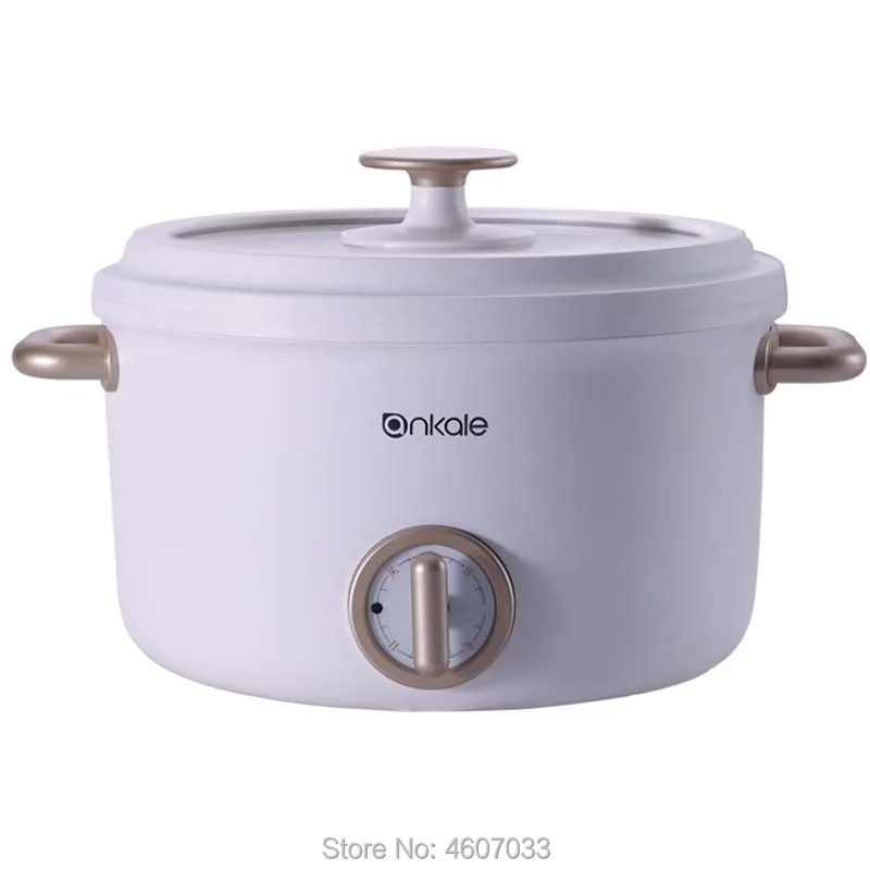 220V Multifunctional Electric Cooker Heating Pan Student dormitory Cooking Pot Machine Hotpot Noodles Eggs Soup mini rice cooker