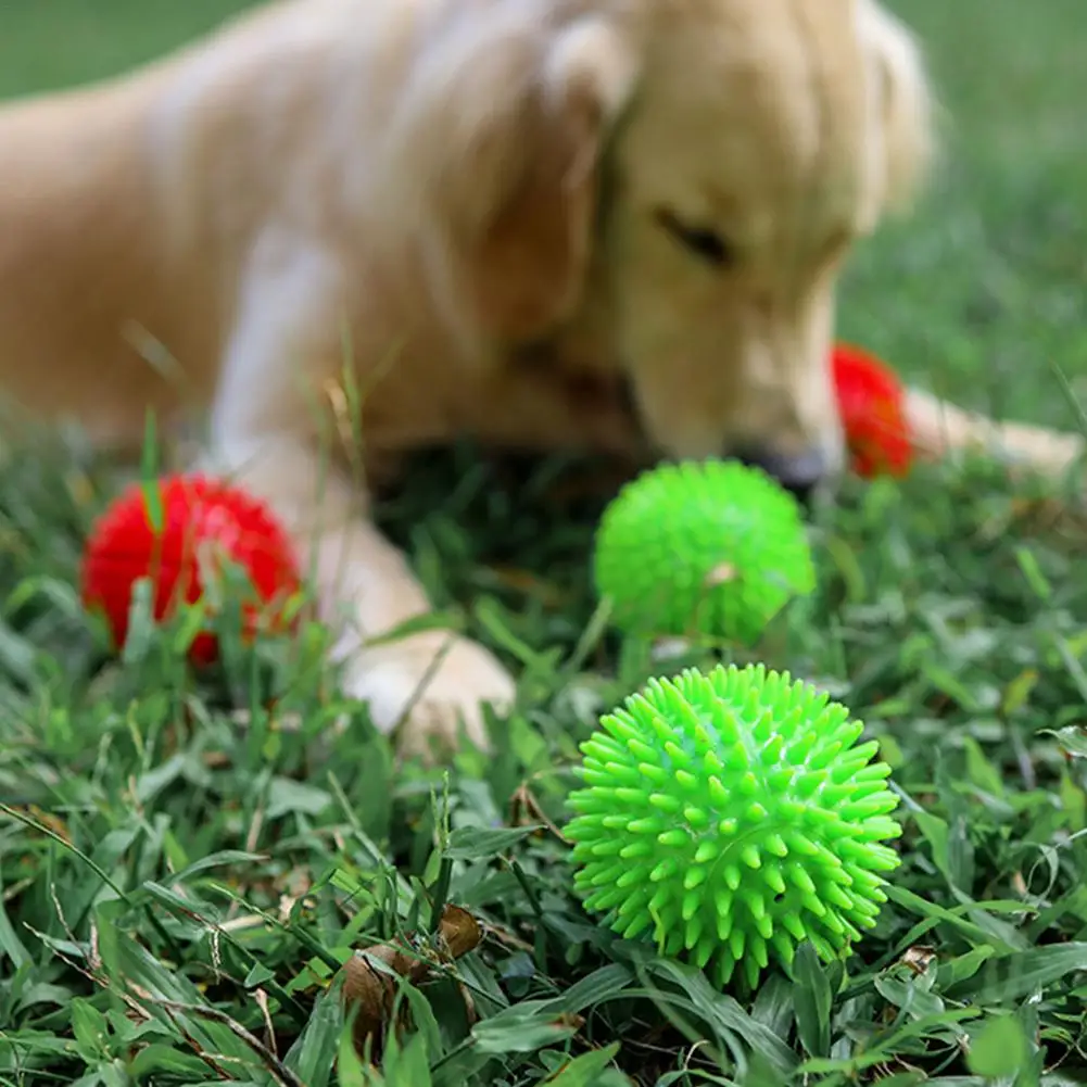 1PC zabawka dla zwierząt domowych piłka z piszczałką Pet Spike Ball Fetch żucia piłka zabawka ząbkowanie odporne na zużycie do gryzienia zabawki dla