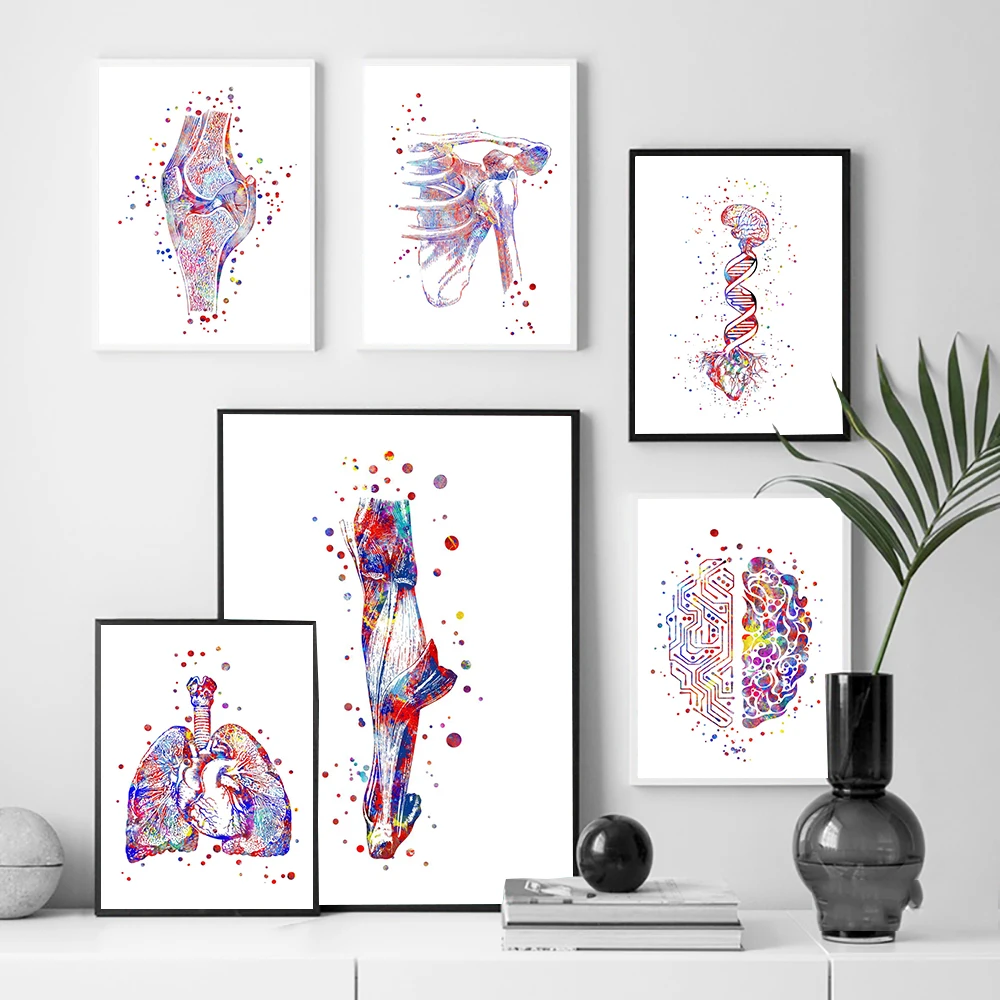 Human Anatomy Muscles System Wall Art Canvas Painting Posters And Prints Body Map Wall Pictures Medical Education Home Decor
