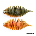 TRILOBITE-H