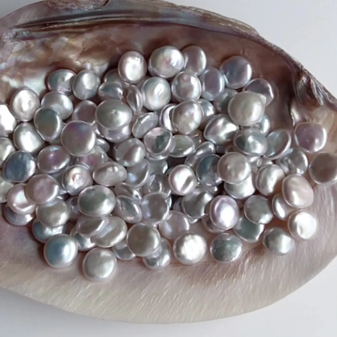 13-14 mm factory prices undrilled hole natural white freshwater coin shape loose pearls beads