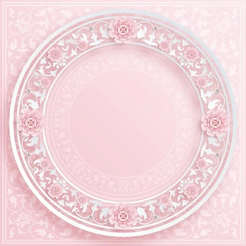 Blush Pink Embroidery Plate Pattern Photo Background For Cake Food Dessert Pets Doll Newborn Baby Shower Backdrops Photography