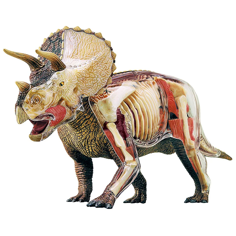 

Triceratops 4D MASTER puzzle assembly toy animal dinosaur organ anatomy medical teaching model