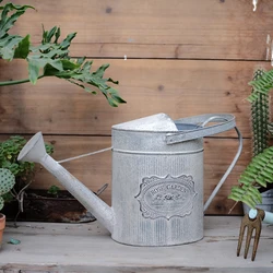 decoration of retro vintage zinc watering cans