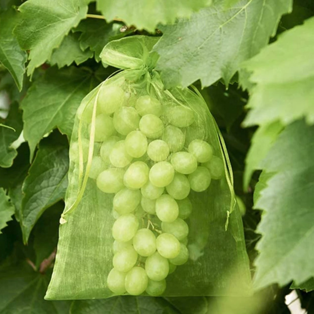 Garden Vegetables Fruit Grow Plants Protection Bags Anti-Bird Gardening Drawstring Netting Candy Grape Apple Mesh Pouch