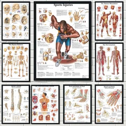 new Human Anatomy Muscles System Canvas Painting Art Poster Print Body Wall Pictures for Science Medicine Bedroom