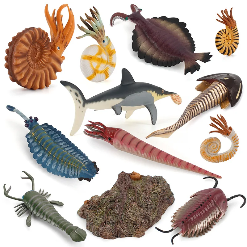 Ancient marine life Simulated Animals Nautilus Anomalocaris ichthyosaur Trilobites Action Figure Toys Gift Model Kids