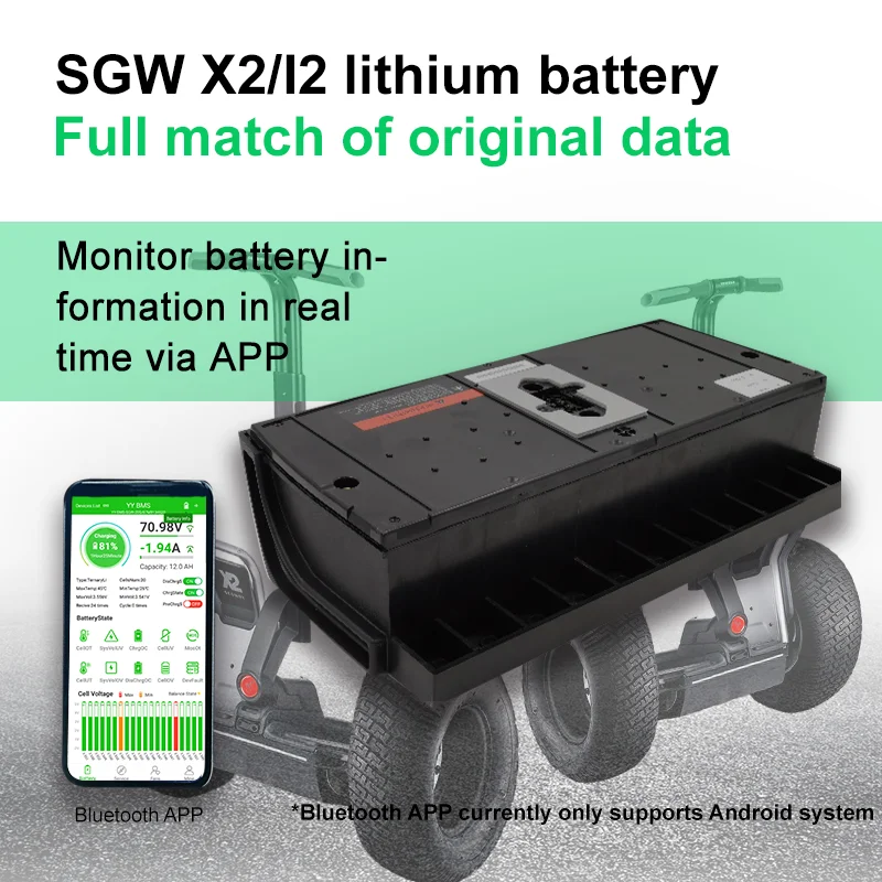 For SGW Battery I2 X2 BMS Replacement 74V 5.2AH 6AH 10AH 12AH Ternary Lithium Battery Pack Diagnostic Instrument and Charger