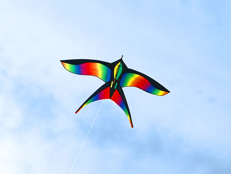 free shipping rainbow bird kites toys for kids kites nylon kites children kites snake flying line weifang kite factory eagle koi