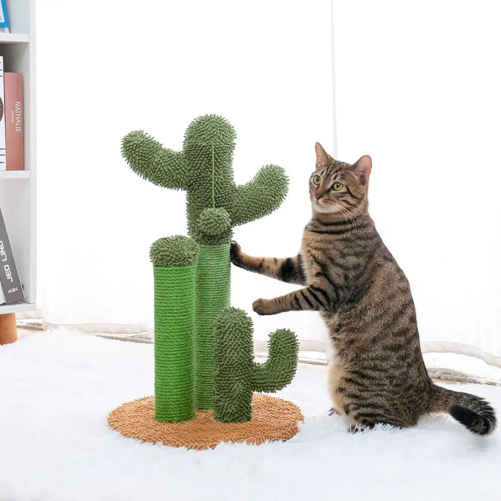 Drop Shipping Cactus Pet Cat Tree Toys with Ball Scratcher Posts for  Cat Toy Protecting Furniture Fast Delivery