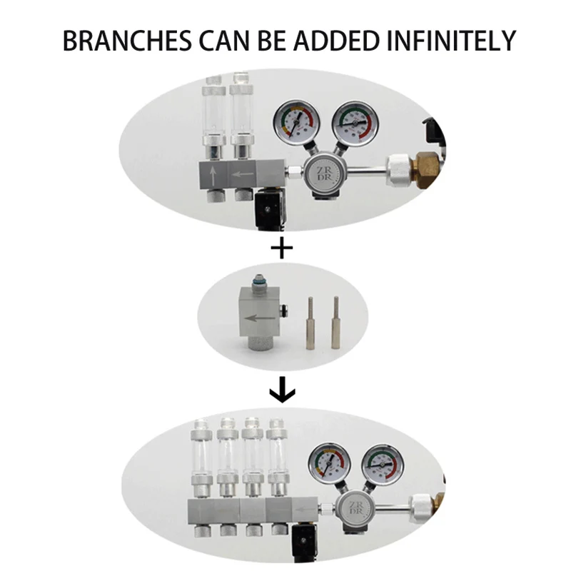 Électrovanne de réduction de pression CO2 pour Aquarium, régulateur de pression bipolaire 100-240V