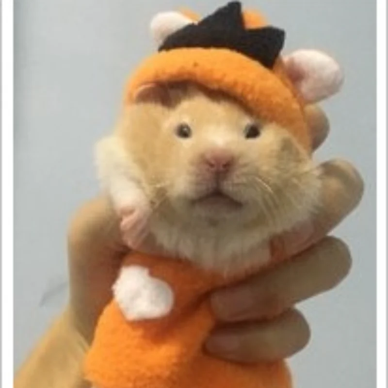 Hamster  Winter Clothes Small Pets Accessories Chipmunk Dwarf Rat Small Animal Hat Cute Hamster Clothes Hamster Supplies