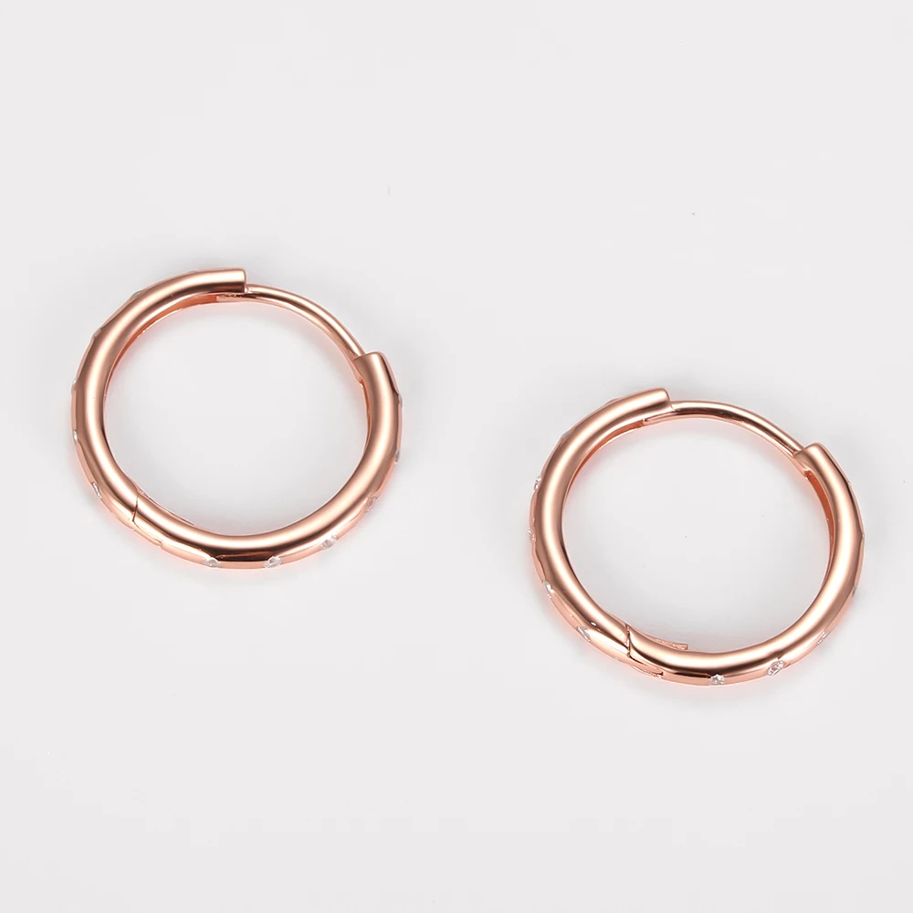 925 Sterling Silver Round Plated Rose Gold Earrings Small Rings Women\'s CZ Zircon Hoop Shiny Earrings Fashion New Ear Ring Congo