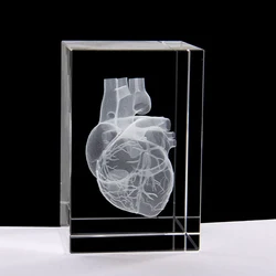 Crystal 3D Laser Heart Anatomy Model Cube Miniature Figurines For Hospital Display Souvenirs