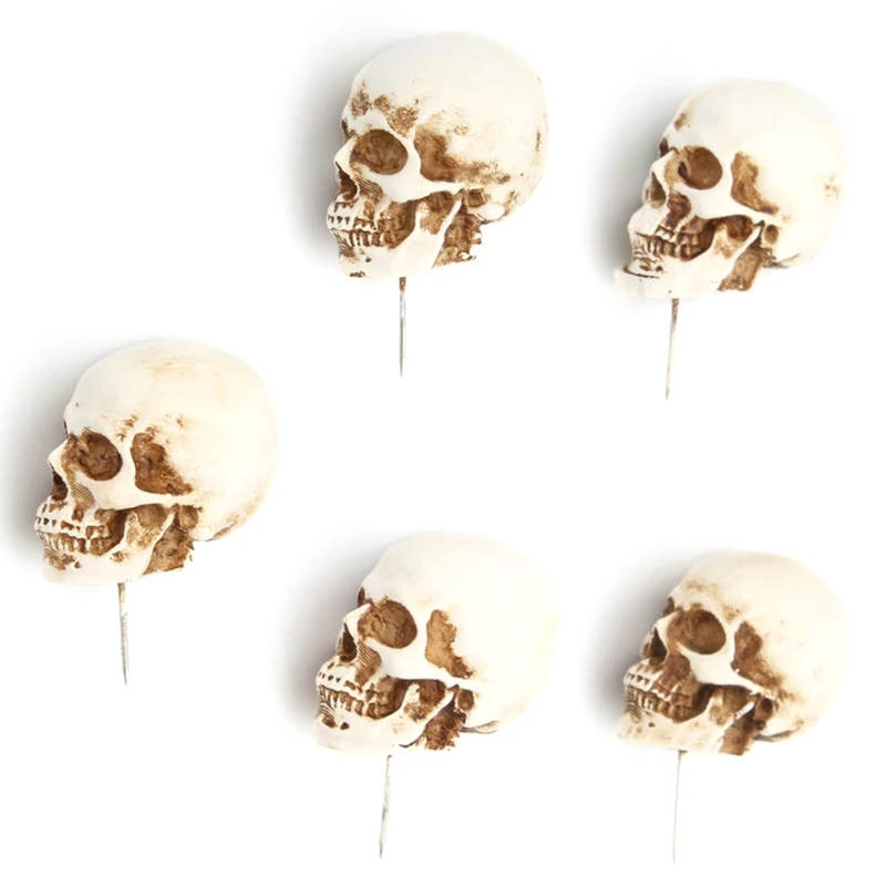 5 قطعة/صندوق الراتنج الجمجمة طبعة الرسم دبابيس الدبوس مجلس صور جدار خريطة علامات