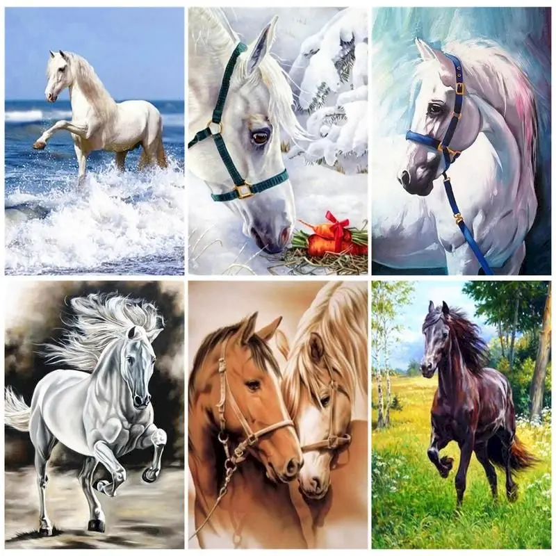 DIY White Horse Oil Painting By Numbers Set Color Drawing On Canvas Paint By Number Artworks Home Decortion Gift Kits For Adults