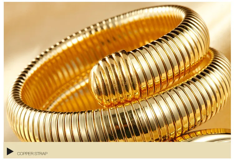 Relojes de serpiente a la moda para Mujer, relojes de pulsera de bobinado de cuarzo dorado de lujo, Reloj femenino