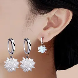 REETI New arrival Ice flower zircon 925 sterling silver stud earrings jewelry birthday gift wholesale anti-allergic women