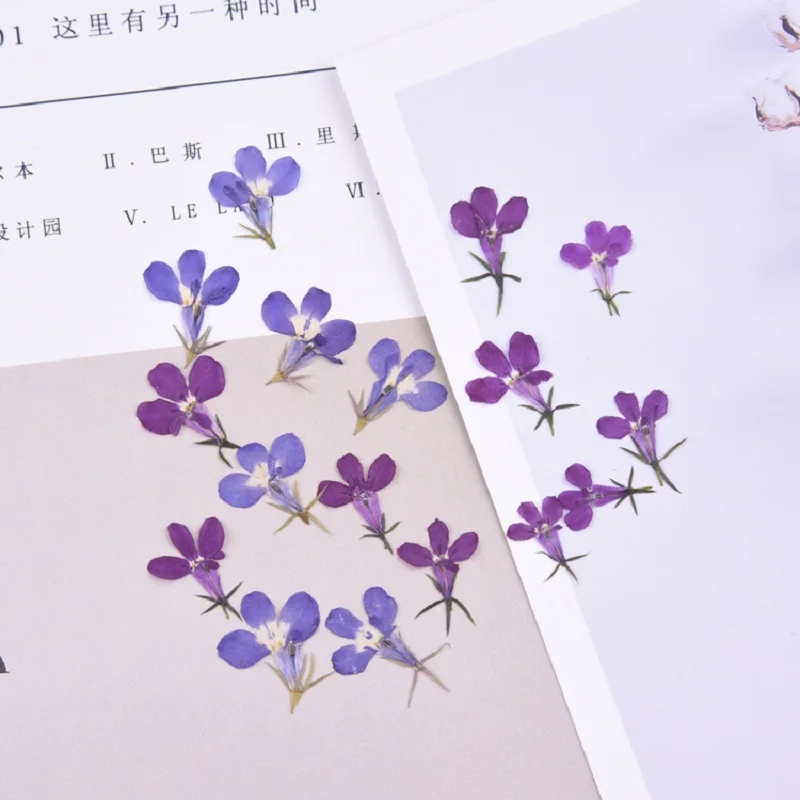 20pcs/1.5cm Nature Real Touch Flower Petals,Pressed Lobelia for DIY Candles Craft Bookmark Gift Card,Flores secas Facial Decor