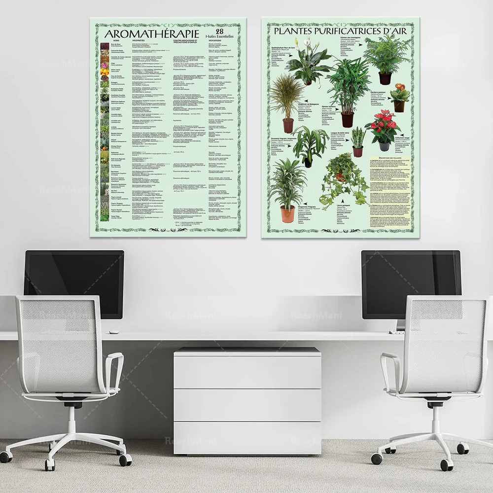Aromatherapy - 28 Essential Oils Prints, Air Purifying Plants Art Poster Home Decor Print