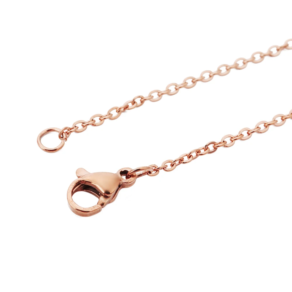 5pcs Stainless Steel Rolo Link Chain Necklace Set