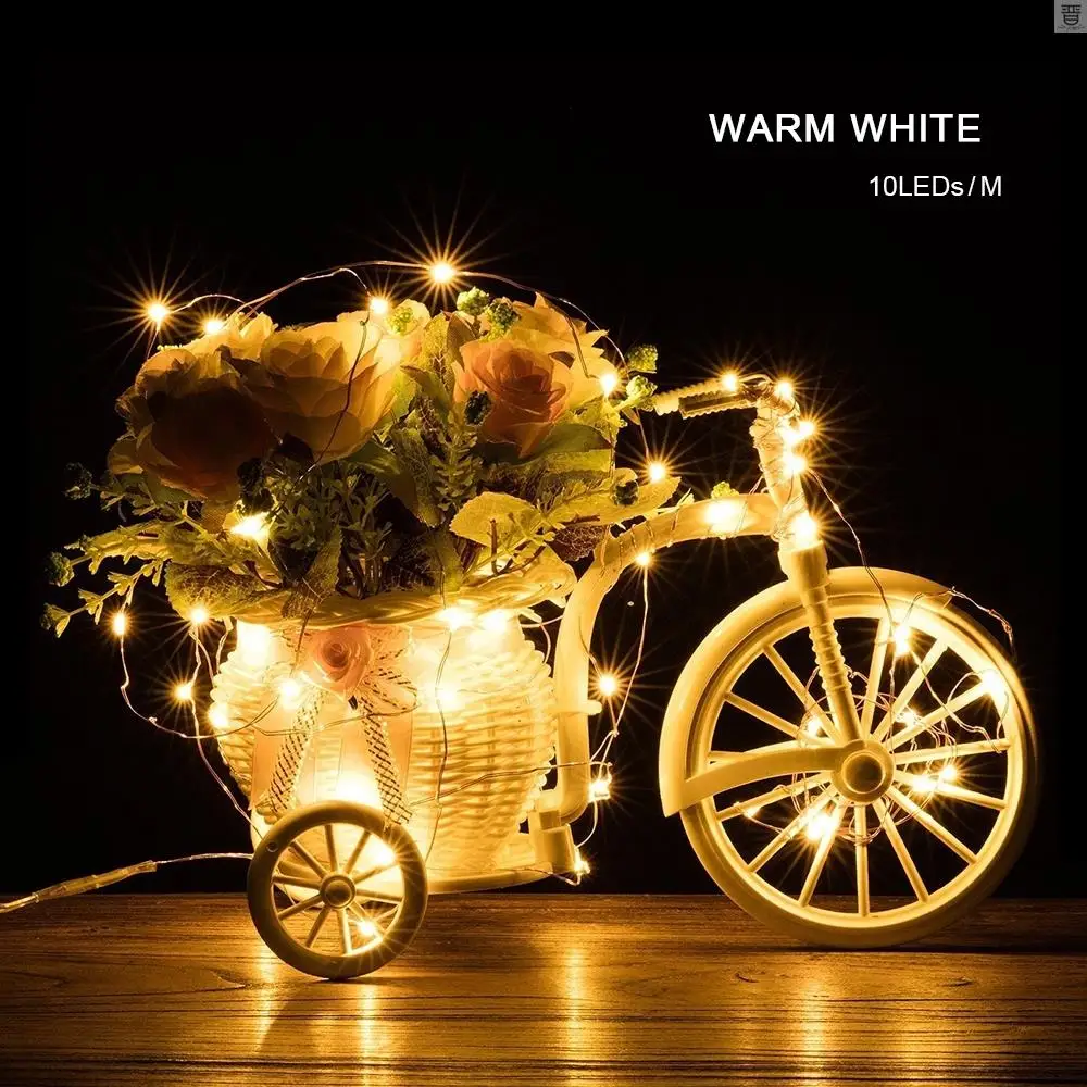 Luci a stringa di filo di rame a LED a batteria Fairy 2M