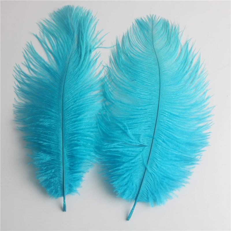 Wholesale 10Pcs/lot Ostrich Feather 6-8 Inch/15-20CM DIY Jewelry Craft Wedding Party Decor Accessories Wedding Decoration Plumas