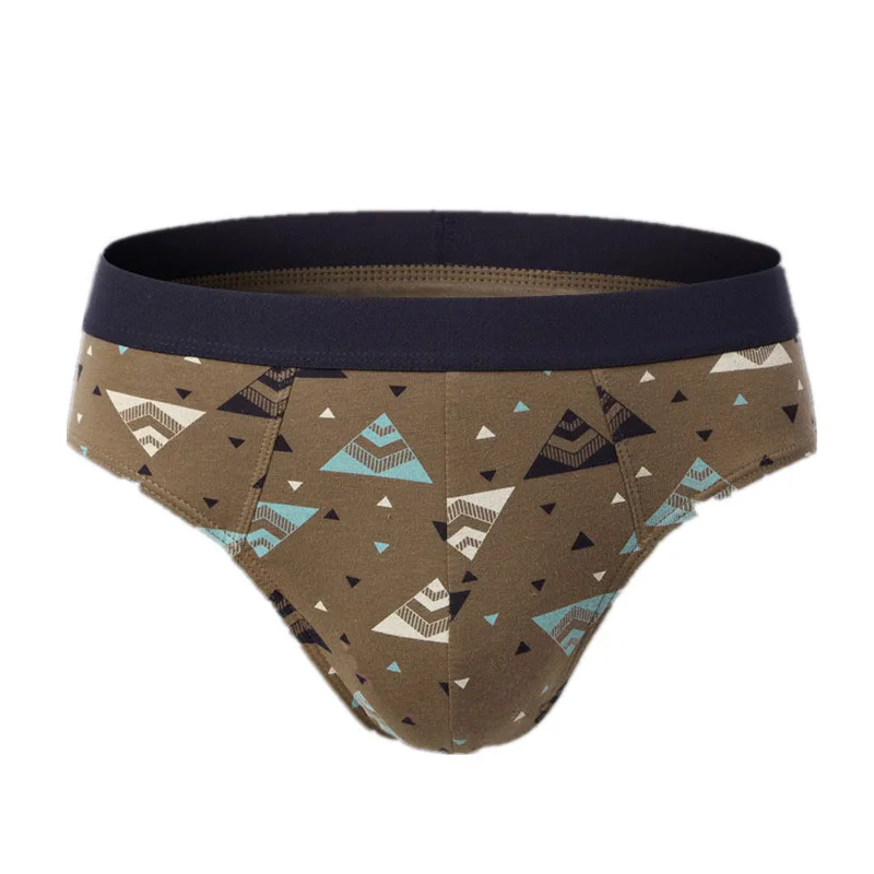 

4 Pcs/lot Men's Briefs Sexy Underwear Men Underpants Cotton Comfortable Print Panties Male Lingerie Breathable Cuecas