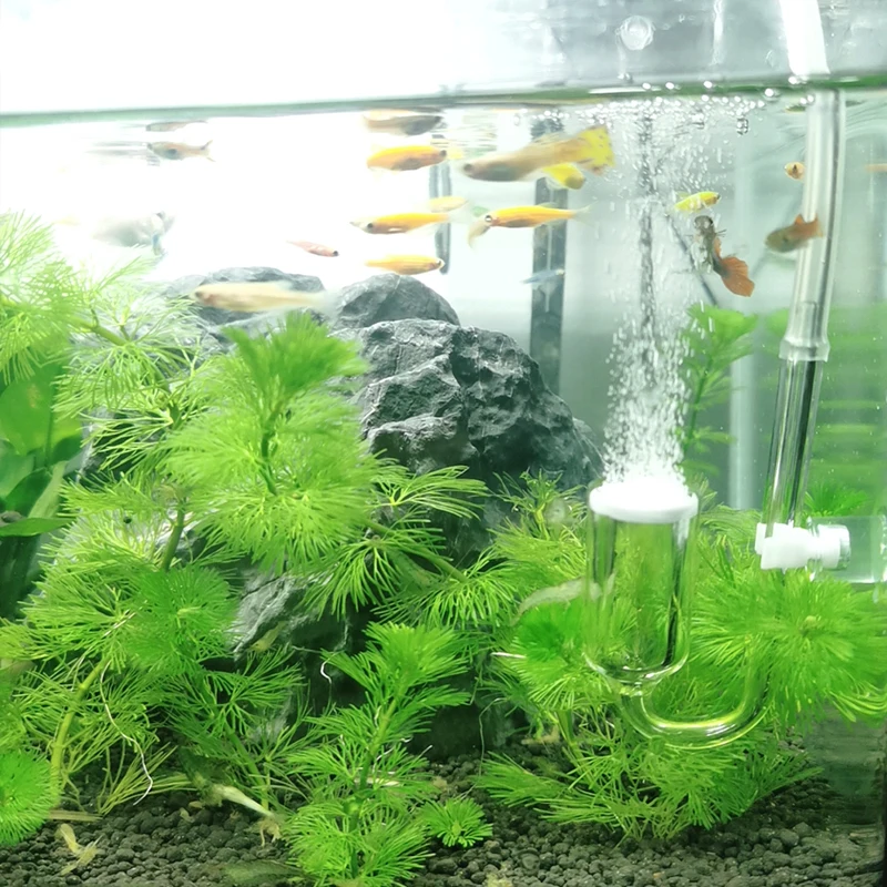 Aquarium DIY carbon dioxide diffuser glass CO2 atomizer, CO2 regulator generator accessories for the growth of aquatic plants