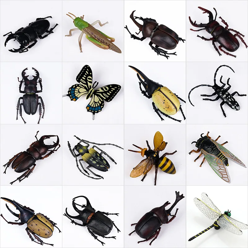 Simulation Insect animal model butterfly weevil dragonfly beetle bee locust cicada miniature ornaments home decoration Teaching