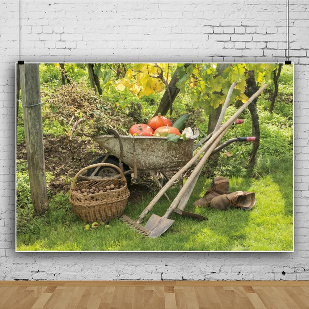 

Autumn Farm Harvest Pumpkin Cart Scene Baby Portrait Backdrop Vinyl Photography Background For Photo Studio Photophone Photozone