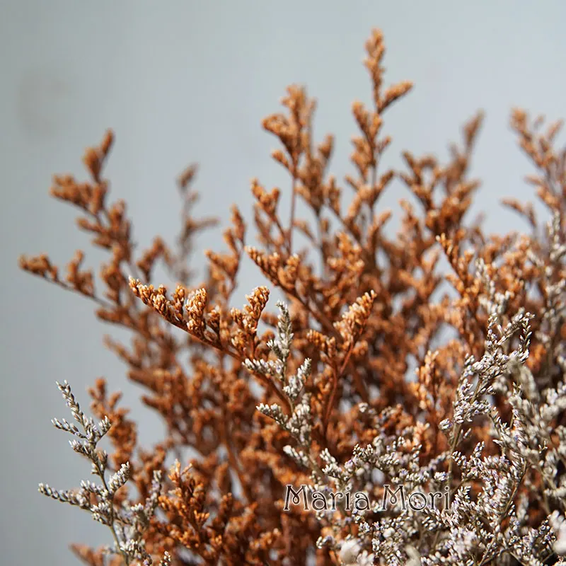 INS Phổ Biến Được Bảo Quản Lễ Tình Nhân Cỏ Limonium Hoa Lovergrass Cho Bán Hoa Phụ Kiện Trang Trí Nhà Cửa