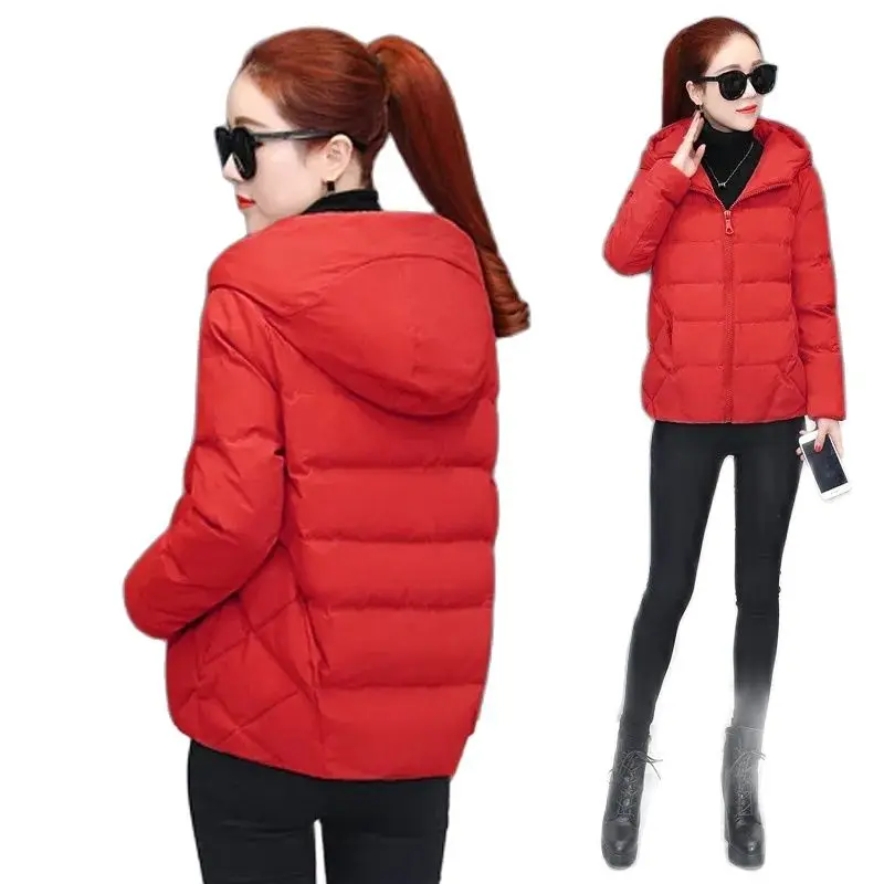 

Anti-season Clearance Female Autumn Winter Dalian Hat Korean Down Cotton Coat 2022 Women Loose Thin Cotton Jacket Short Parka