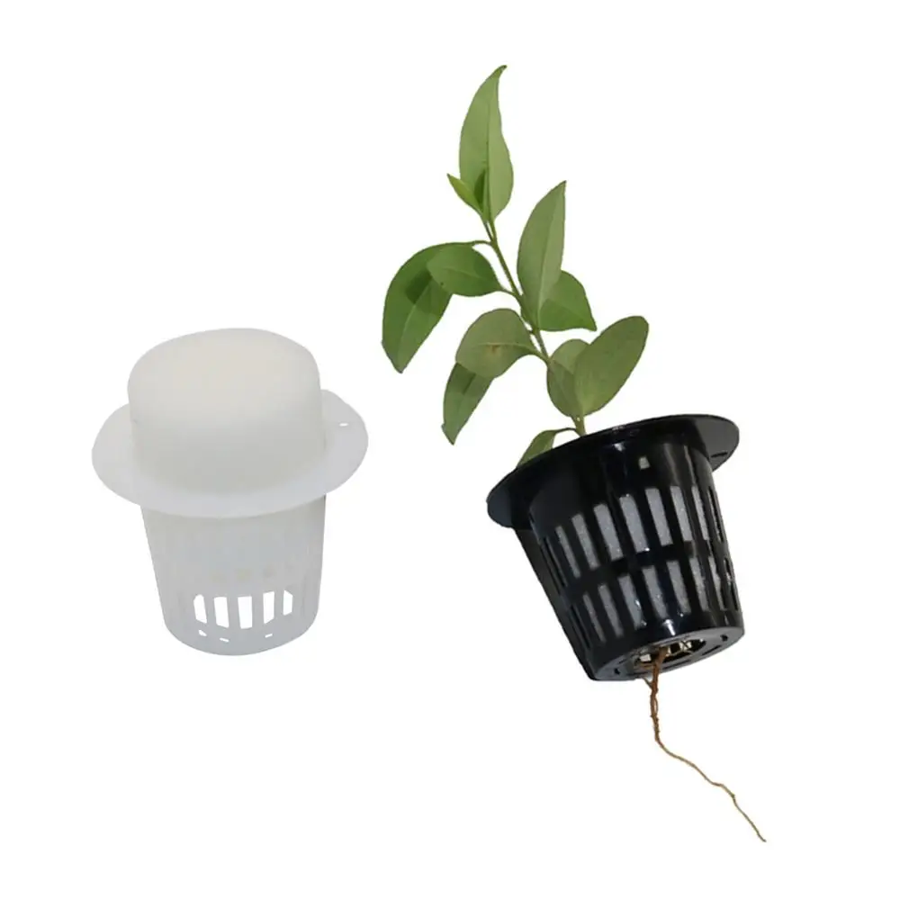20 piezas de malla para plantas de vivero, maceta para cultivo, Red de esponja, plantador de verduras, soporte de cesta de cultivo hidropónico sin