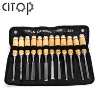 Citop 12Pcs/set Wood Carving Chisels Manual Wood Carving Hand Chisel Carpenters Carving Chisel DIY Hand Tools for Woodworking