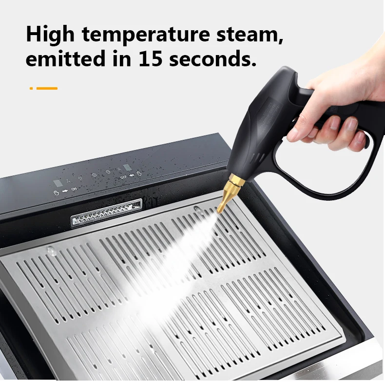 110V 220V Household Electric Steam Cleaner 3000W 4.5Bar High temperature And Pressure Air Conditioner Range Hood Car Cleaning