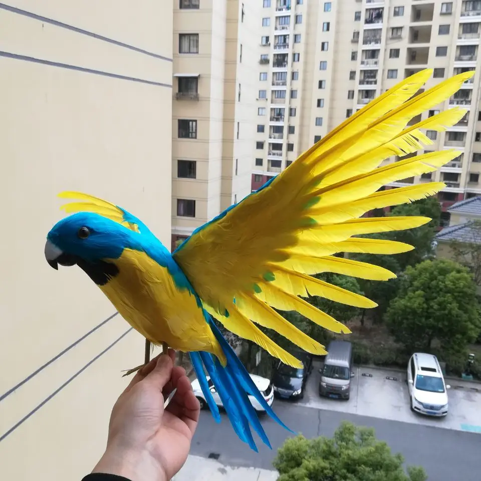 real life toy yellow-blue parrot 42x60cm,Handmade model,foam&feathers spreading wings parrot ,garden decoration toy b0774