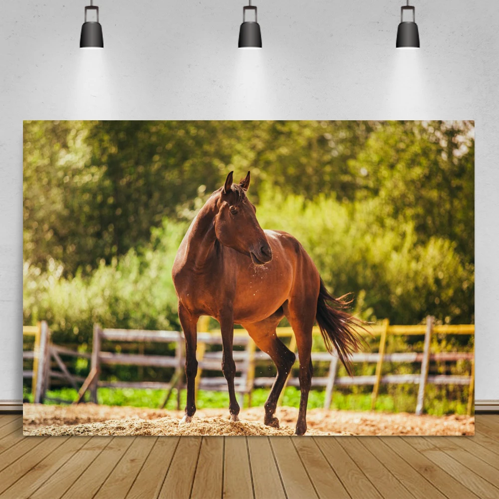 تشغيل الحصان المراعي السماء الزرقاء غائم المشهد فوتوزون التصوير خلفية الصورة خلفية فوتودعوة للصور استوديو الدعائم