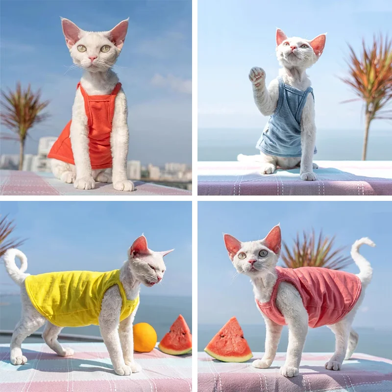 Sphynx Cat Clothes Summer Luxury Pet Vest Cotton Hairless Kitten Sleeveless T Shirt Puppy Small Dogs Clothing For Cats Sphinx