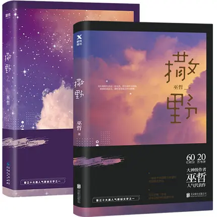 

2 книги SA YE Молодежные романы книги Wuzhe романы Кампус Книга любви