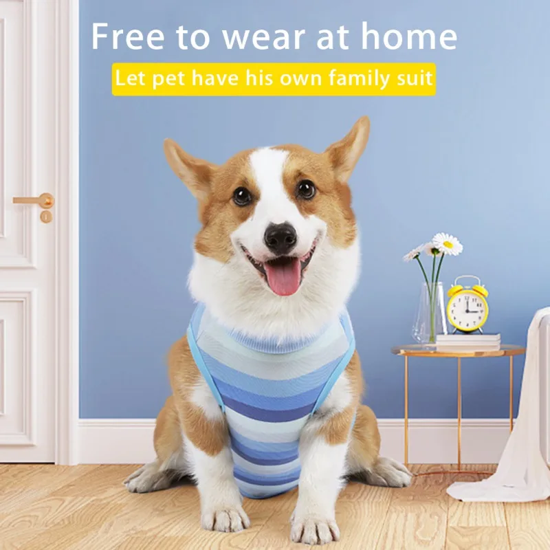 Pet Clothes Dogs Maintain Clothes Operation Recovery Suit Anti Licking Wounds After Surgery Surgery Suit Four-legged Jumpsuit