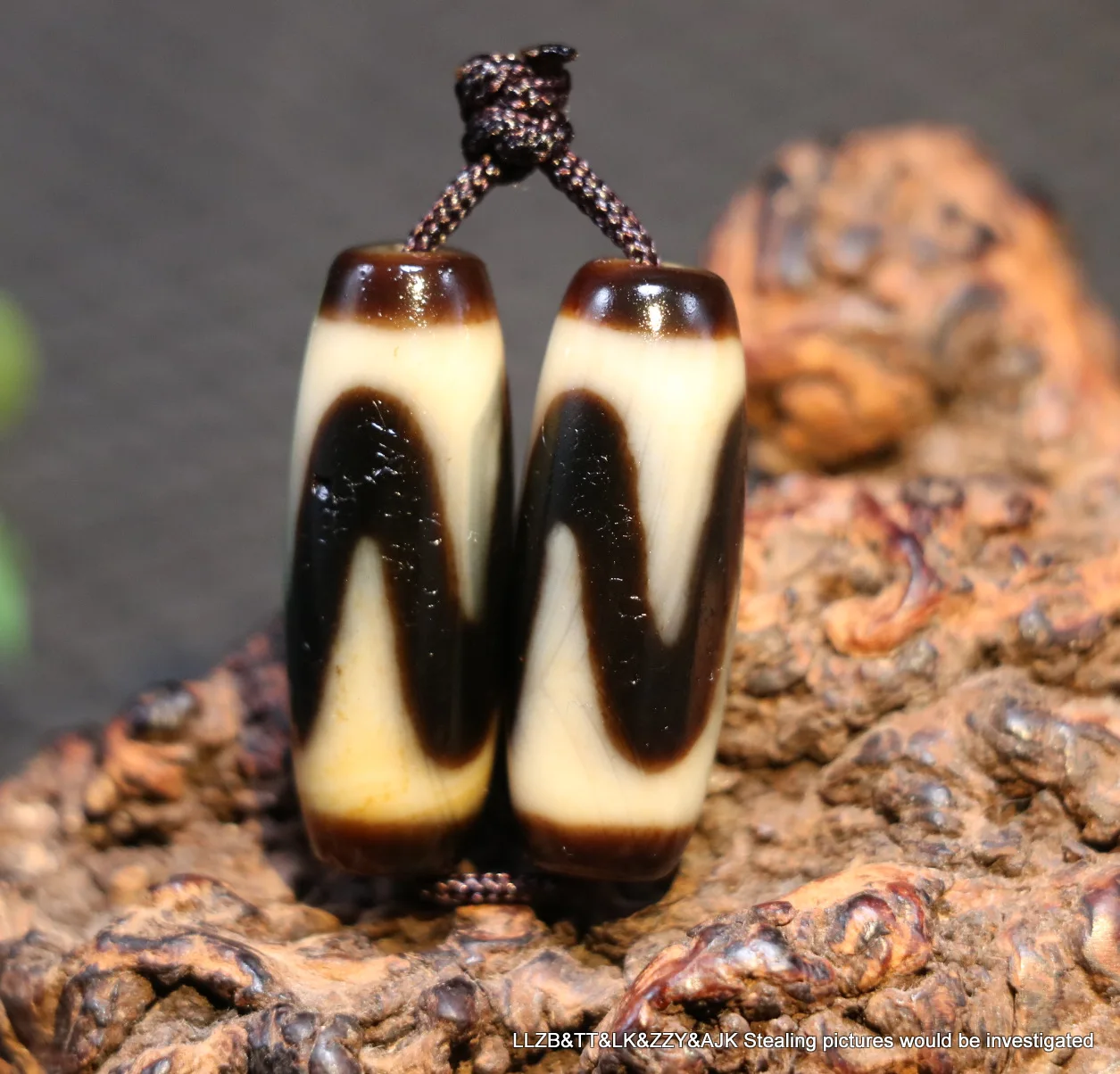 Pair Energy Tibetan Old Agate Ivory Color Sharp Tiger Tooth dZi Bead Totem 3A L LKbrother Talisman UPD210527A6 FQ