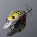 NF001