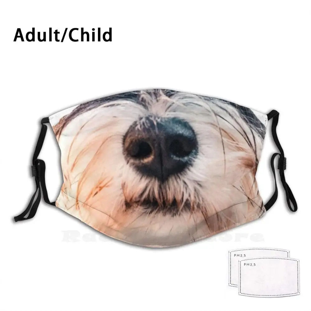 Bonito em miniatura schnauzer máscara engraçado impressão reutilizável pm2.610 filtro máscara facial engraçado cão schnauzer filhote de cachorro bonito animal social