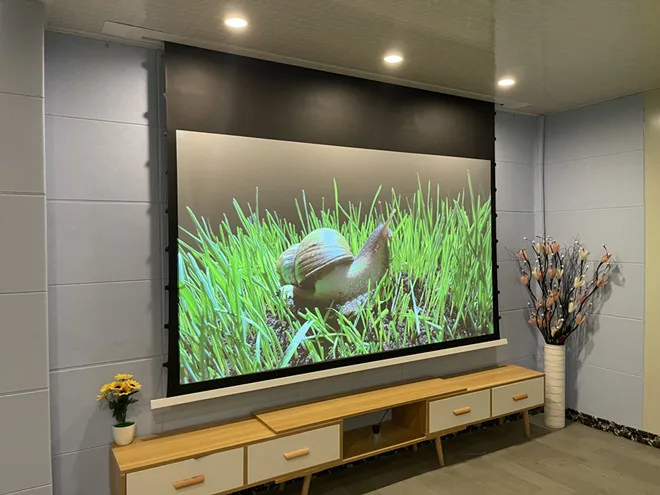 MIVISION 8K Schwarz Diamant/Kristall Umgebungs Licht Ablehnung ALR CLR Elektrische Einbau In-Decke Projektor Bildschirm, v1ALR – Detail 23