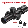 sight with 20 mount