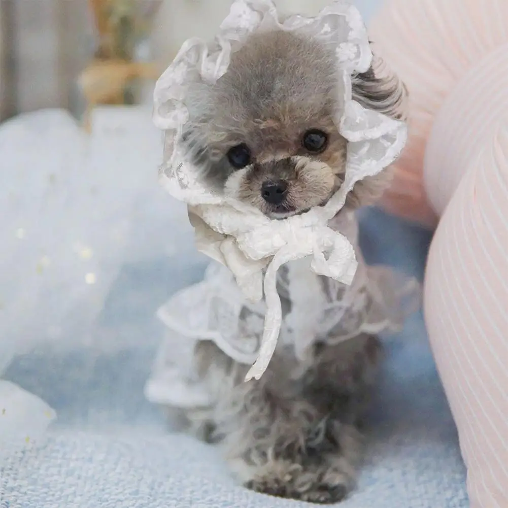 Pet Hat Breathable Polyester Good-looking Round Neck Puppy Lace Skirt For Dog Supplies White Solid Color Design Outing Hat