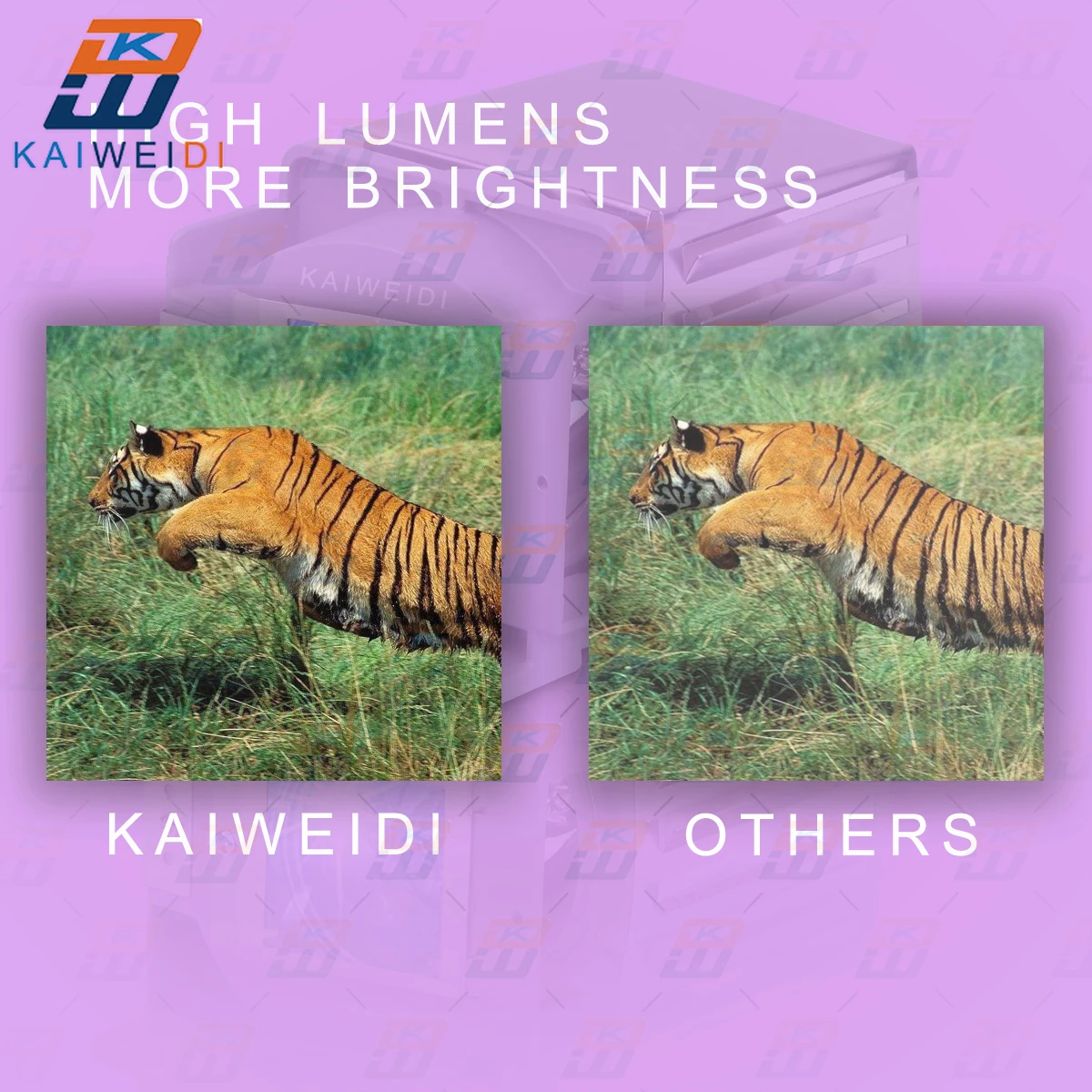 히타치 CP-SX8350 CP-WU8440 CP-WUX8440 CP-WX8240 CP-X8150 프로젝터 램프 전구, DT01281 DT01285