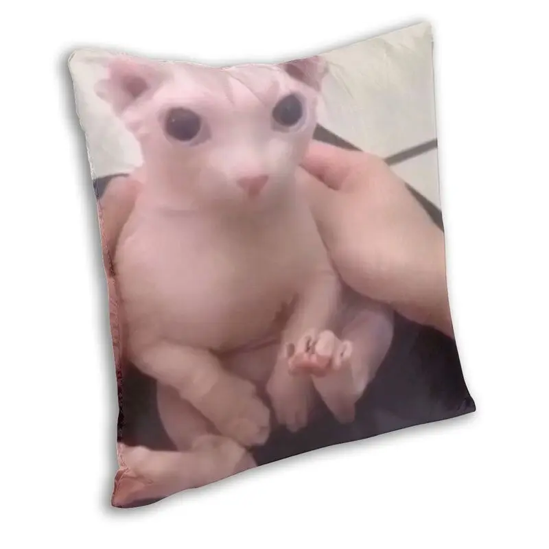 Bingus Cute Meme Square Pillowcover Home Decorative Sphynx Cat Cushion Cover Throw Pillow for Car Double-sided Printing